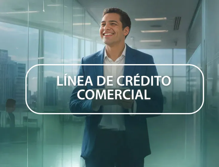 Préstamos revolventes a corto plazo