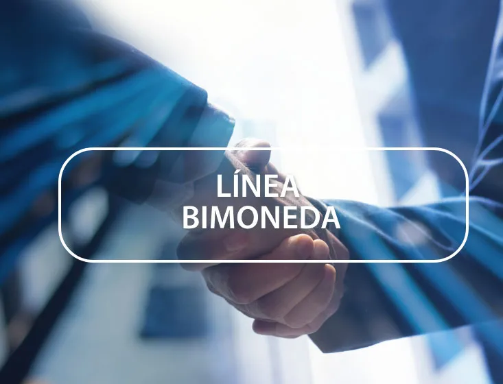 Línea Bimoneda