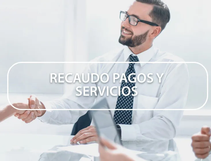 Recaudo Pagos y servicios