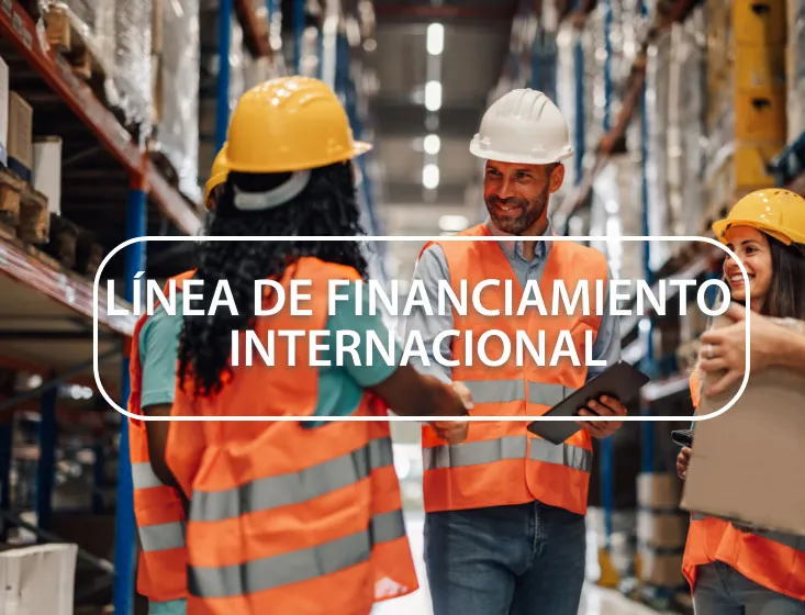 Línea de Financiamiento Internacional (LFI)